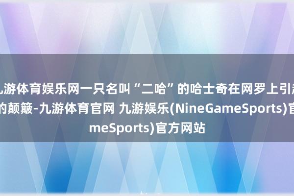 九游体育娱乐网一只名叫“二哈”的哈士奇在网罗上引起了不小的颠簸-九游体育官网 九游娱乐(NineGameSports)官方网站