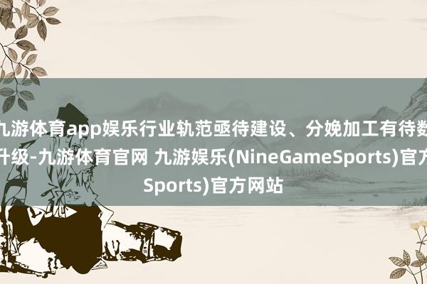 九游体育app娱乐行业轨范亟待建设、分娩加工有待数字化升级-九游体育官网 九游娱乐(NineGameSports)官方网站