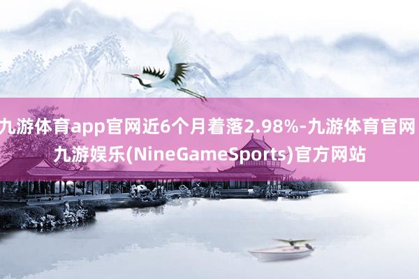 九游体育app官网近6个月着落2.98%-九游体育官网 九游娱乐(NineGameSports)官方网站